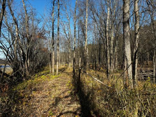 3191 Town Road 397, International Falls, MN 56649