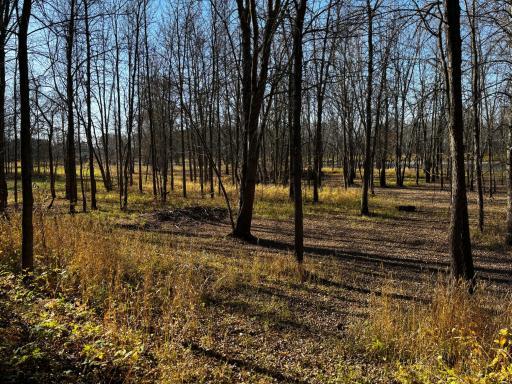 3191 Town Road 397, International Falls, MN 56649