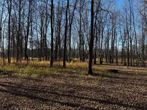 3191 Town Road 397, International Falls, MN 56649