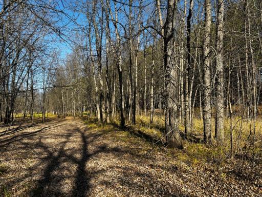 3191 Town Road 397, International Falls, MN 56649