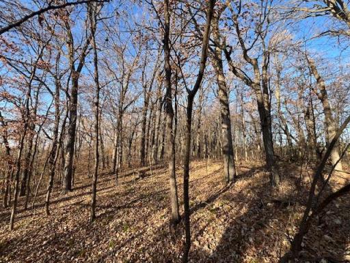 Photo for xxxxx 460th Ave, Perham, MN 56573 - listing #6624116 xxxxx 460th Ave, Perham, MN 56573