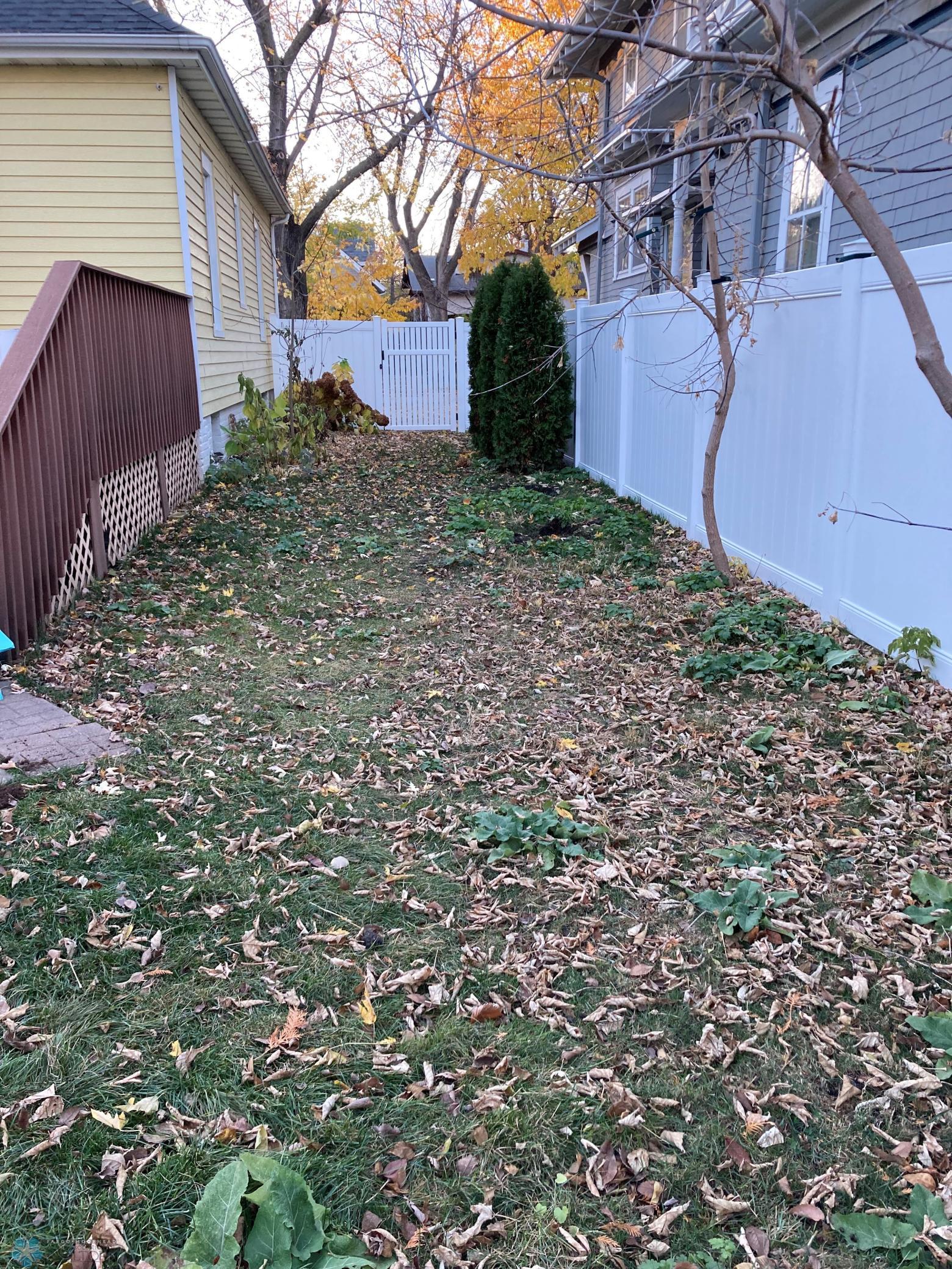 Side Back Yard.jpg
