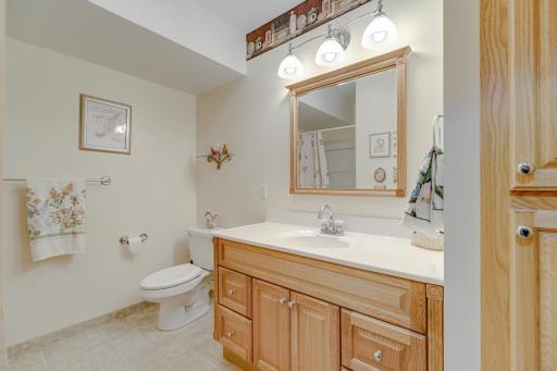 14225 Blackfoot Street NW, Andover, MN 55304