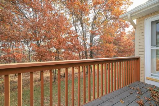 14225 Blackfoot Street NW, Andover, MN 55304
