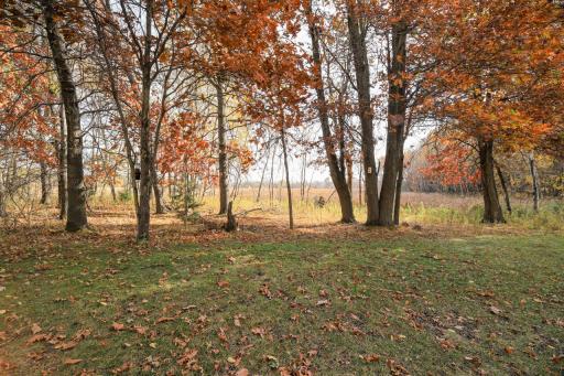 14225 Blackfoot Street NW, Andover, MN 55304