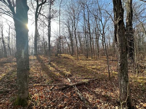 Photo for XXA State Hwy 18, Finlayson, MN 55735 - listing #6624362 XXA State Hwy 18, Finlayson, MN 55735