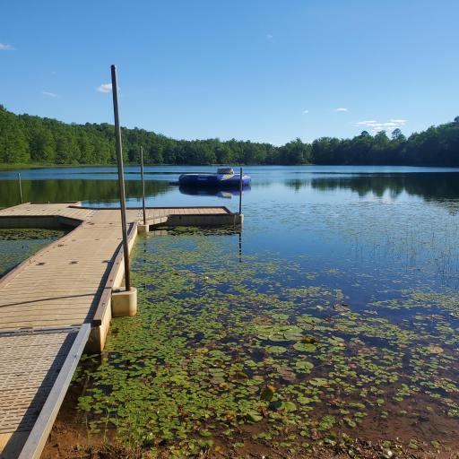 Trampoline.3 (3).jpg