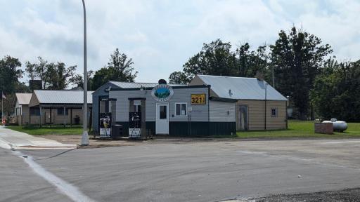 24177 1st Street, Leonard, MN 56652