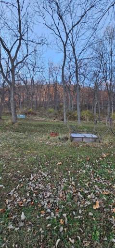 203 W Stevens Avenue, Rushford, MN 55971