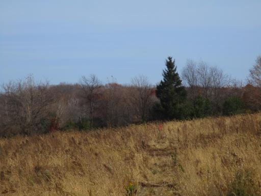 The view looking North from your property.