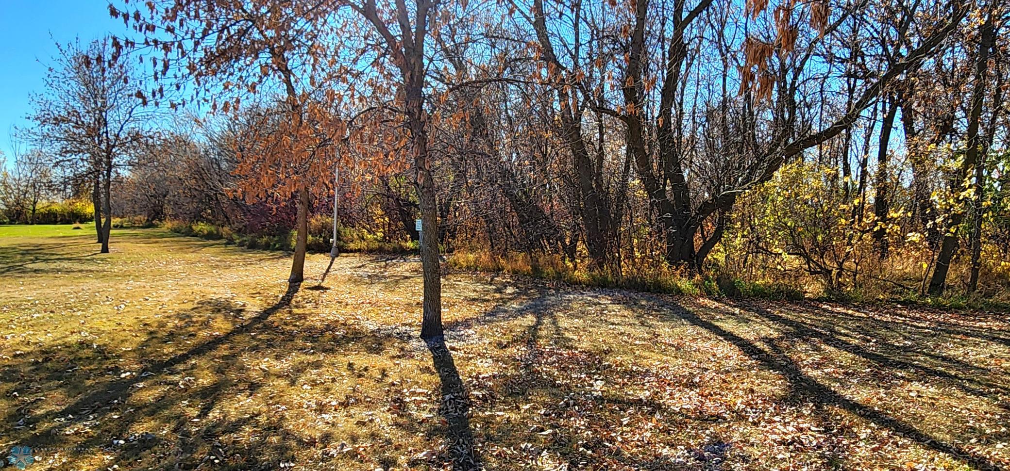 20241025_140227.jpg