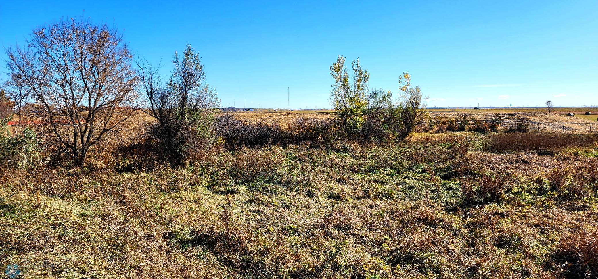 20241025_140513.jpg