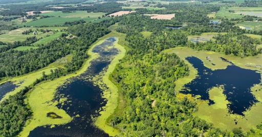 2024-07-10 Turtle Lake Propert Drone Photos-10.jpg
