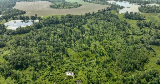 2024-07-10 Turtle Lake Propert Drone Photos-5.jpg