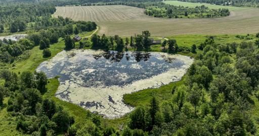 2024-07-10 Turtle Lake Propert Drone Photos-28.jpg
