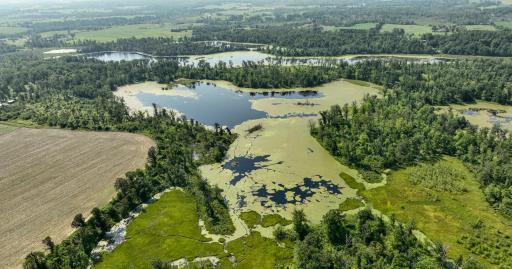 2024-07-10 Turtle Lake Propert Drone Photos-11.jpg