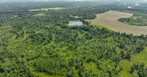 2024-07-10 Turtle Lake Propert Drone Photos-8.jpg