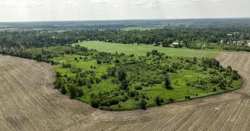 2024-07-10 Turtle Lake Propert Drone Photos-32.jpg