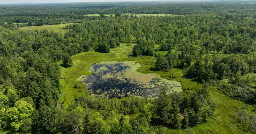 2024-07-10 Turtle Lake Propert Drone Photos-30.jpg