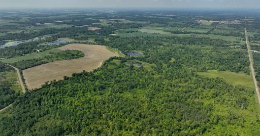 2024-07-10 Turtle Lake Propert Drone Photos-19.jpg