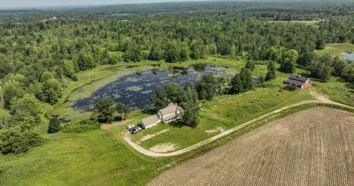 2024-07-10 Turtle Lake Propert Drone Photos-16.jpg