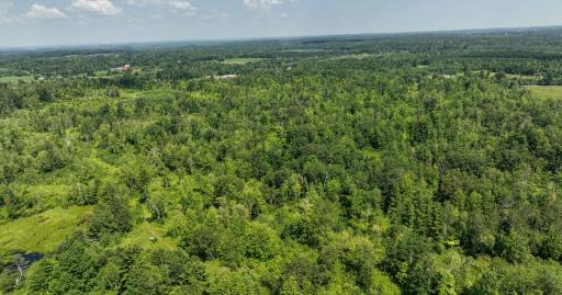 2024-07-10 Turtle Lake Propert Drone Photos-31.jpg
