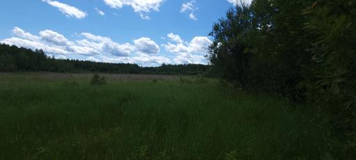 TBD State Hwy 1, Effie, MN 56639