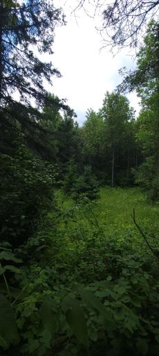 TBD State Hwy 1, Effie, MN 56639