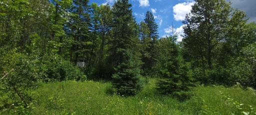 TBD State Hwy 1, Effie, MN 56639