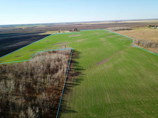 18310 County Road 117, Badger, MN 56714