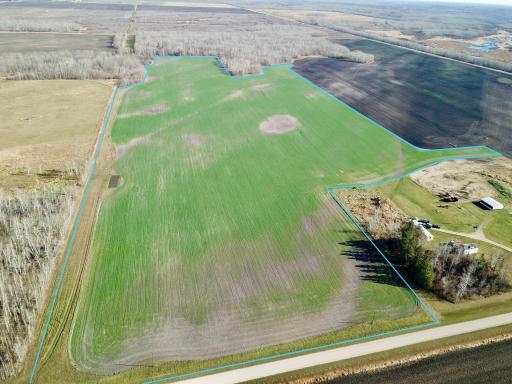 18310 County Road 117, Badger, MN 56714