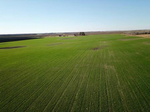 Photo for 18310 County Road 117, Badger, MN 56714 - Listing #6625482 18310 County Road 117, Badger, MN 56714