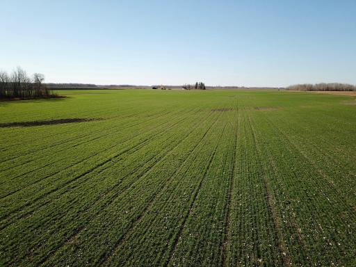 Photo for 18310 County Road 117, Badger, MN 56714 - Listing #6625482 18310 County Road 117, Badger, MN 56714