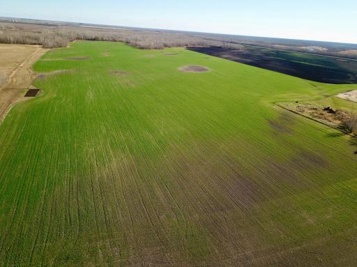 Photo for 18310 County Road 117, Badger, MN 56714 - Listing #6625482 18310 County Road 117, Badger, MN 56714