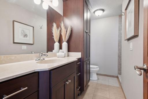 The basement bathroom features a walk in shower and built in linen closet.