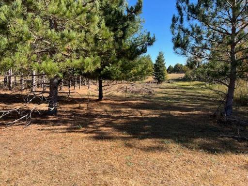xxxxx 308th Annex, Ottertail, MN 56571