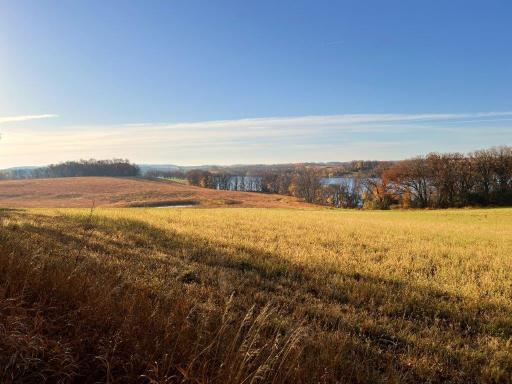 19854 Twin Lakes Road SW, Brandon, MN 56315