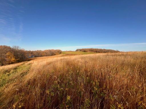 19854 Twin Lakes Road SW, Brandon, MN 56315