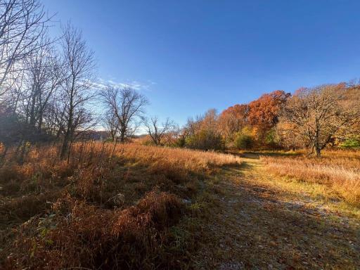 19854 Twin Lakes Road SW, Brandon, MN 56315