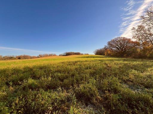 19854 Twin Lakes Road SW, Brandon, MN 56315