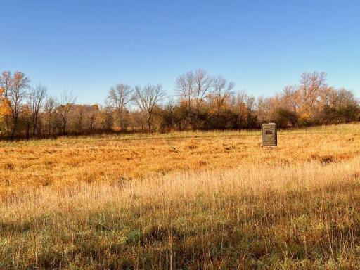 19854 Twin Lakes Road SW, Brandon, MN 56315