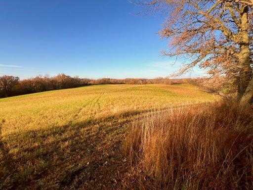 19854 Twin Lakes Road SW, Brandon, MN 56315