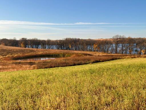 19854 Twin Lakes Road SW, Brandon, MN 56315