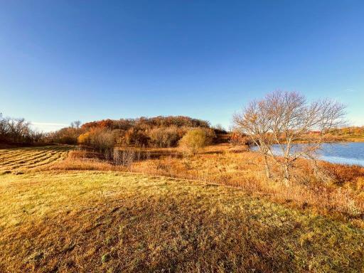 19854 Twin Lakes Road SW, Brandon, MN 56315