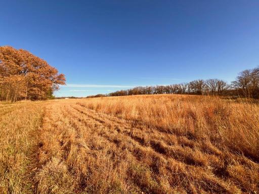19854 Twin Lakes Road SW, Brandon, MN 56315