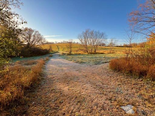 19854 Twin Lakes Road SW, Brandon, MN 56315