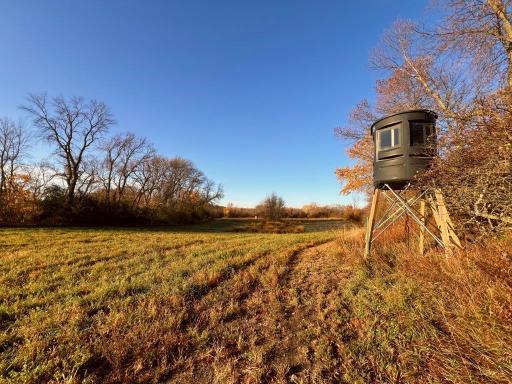 19854 Twin Lakes Road SW, Brandon, MN 56315