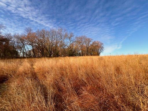 19854 Twin Lakes Road SW, Brandon, MN 56315