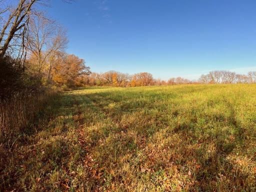 19854 Twin Lakes Road SW, Brandon, MN 56315