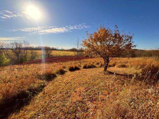 19854 Twin Lakes Road SW, Brandon, MN 56315